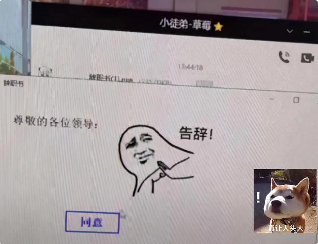 辞职原因怎么写简短实用，辞职原因怎么写简短实用一点！